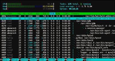 hinanden Pompeji pence htop - a great alternative to top for Ubuntu Linux