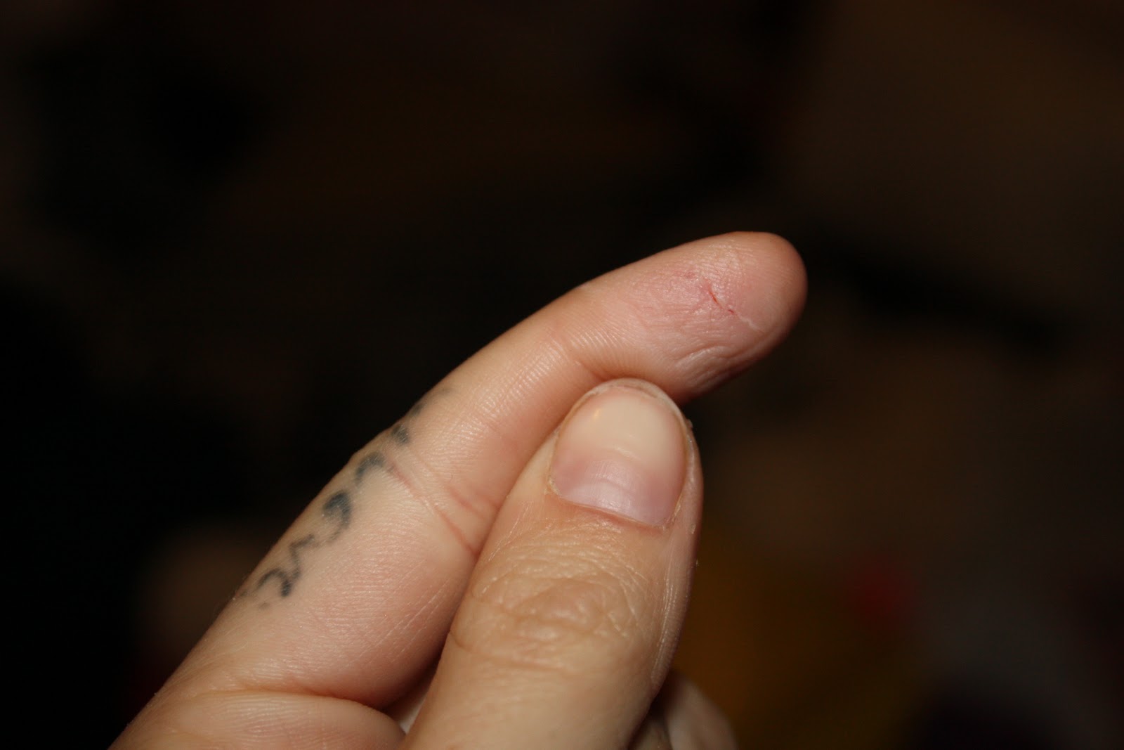 Brittnie's Blog December 2010