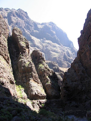 CLUB MAR DE NUBES: La Ruta del Barranco de Masca.