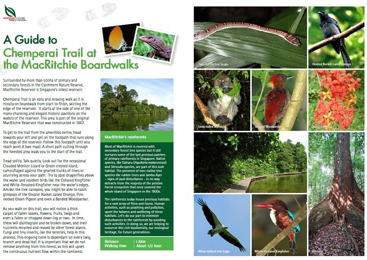 Celebrating Singapore's BioDiversity! DIY walking guides issued by NParks