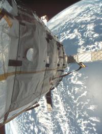 [bigelowgenesis2.jpg]