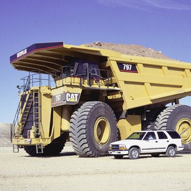 [cat797B.jpg]