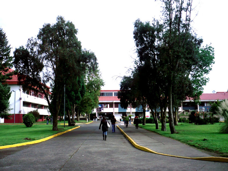 EDUCACIÓN 9. ESTA ES LA UNIVERSIDAD DE LA FRONTERA (UFRO)