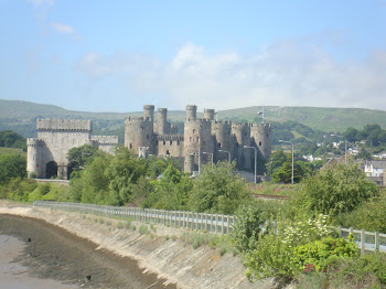 Conwy Castle from RSPB