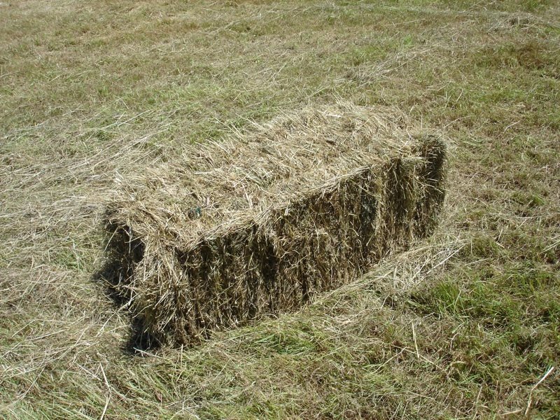 [Small+hay+bale.jpg]