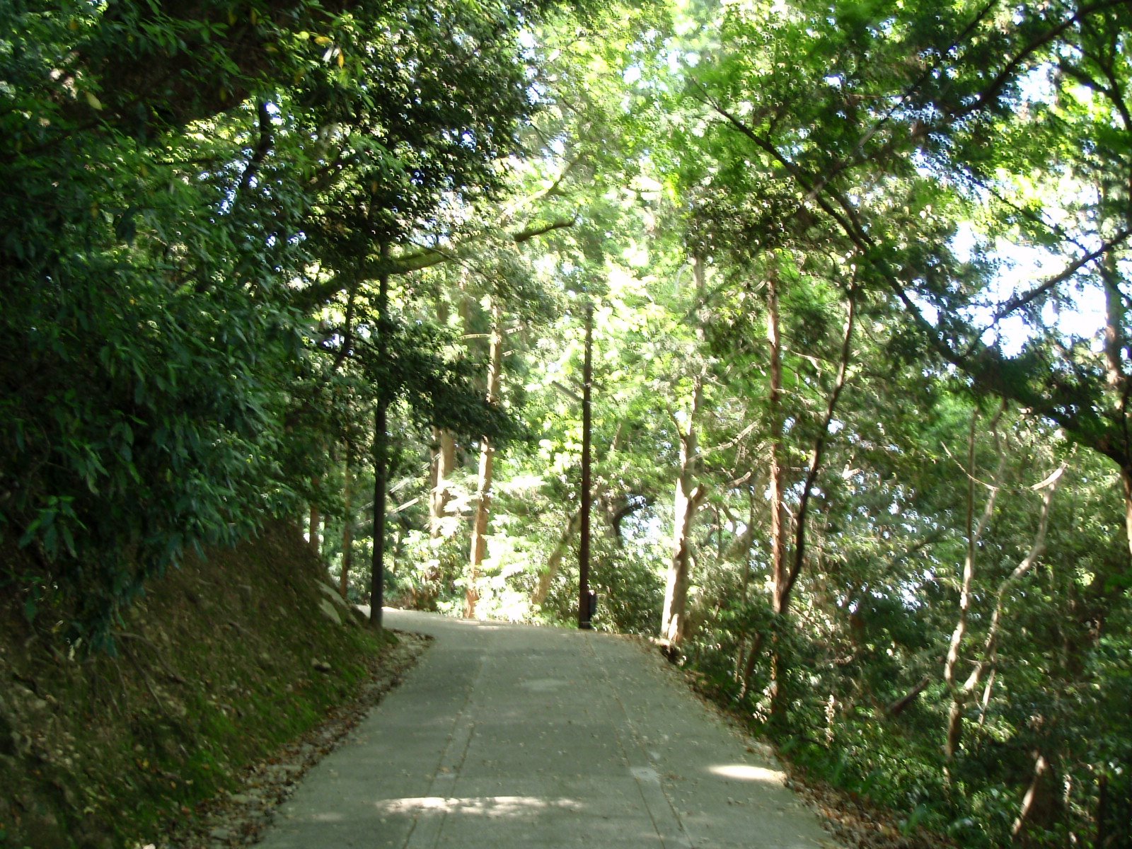 [P5060360+copia.JPG]