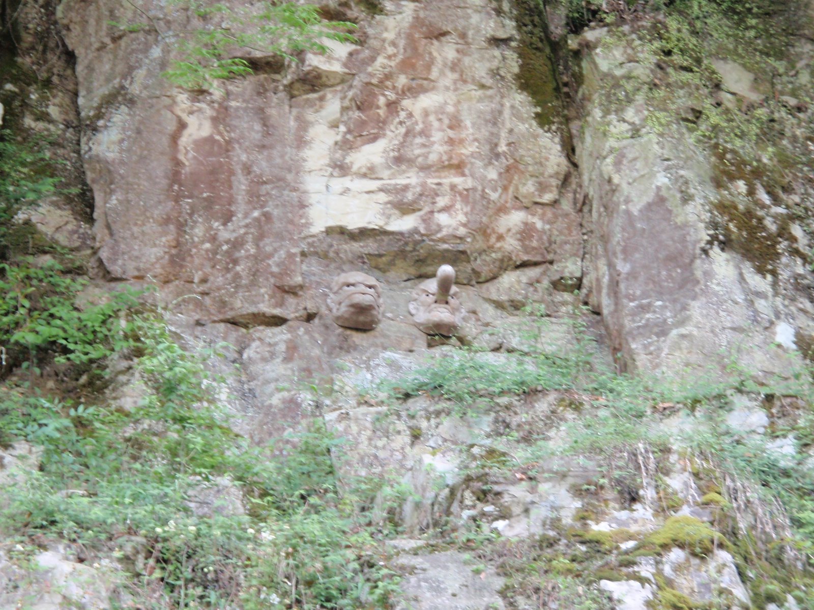 [P5060367+copia.JPG]