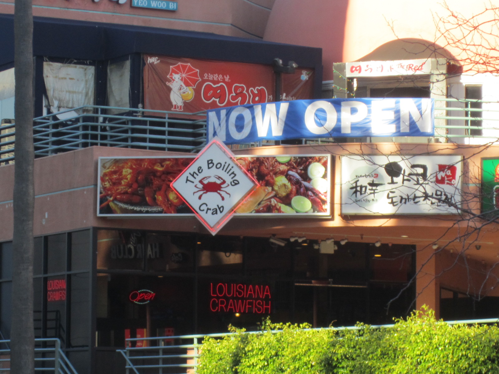 HUNGRY CAKES The Boiling Crab is in L.A!!!!