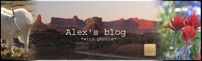 Alex's blog *with photos*