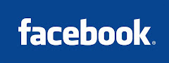 ¡Festival 2011!! Únete al grupo del Festival en Facebook y sigue todos los eventos!