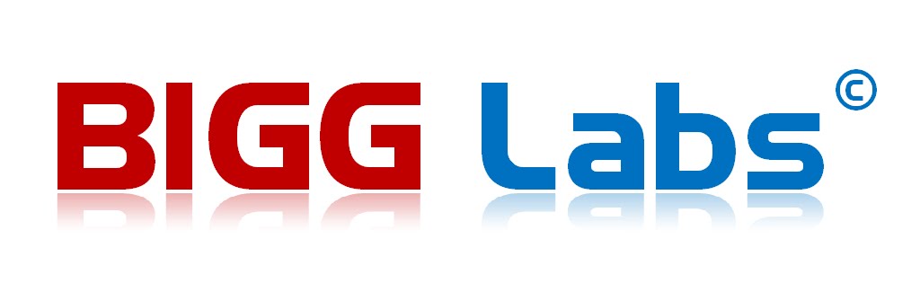 .::| BIGG LABS |::.