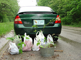 PLANT RESCUE MAY 2006