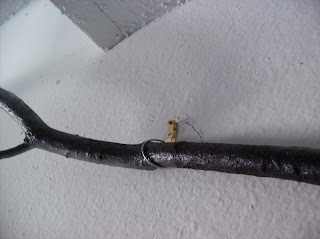 How to spell i am sorry in spanish