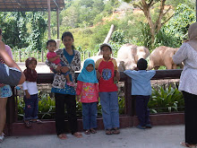 zoo lok kawi