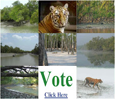 Give vote for Sundarban