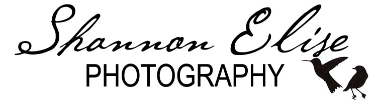Shannon Elise Photography