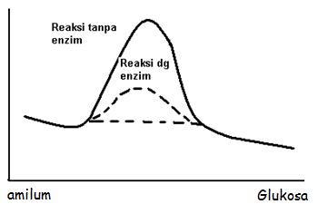 [soal+5.jpg]