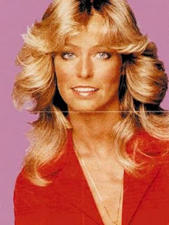 http://3.bp.blogspot.com/_W9J6YnnKS3A/SkbR-7trMQI/AAAAAAAAChE/9h9z9SY8Y0Y/s320/Hairdo+Farrah+Fawcett+wings.jpg