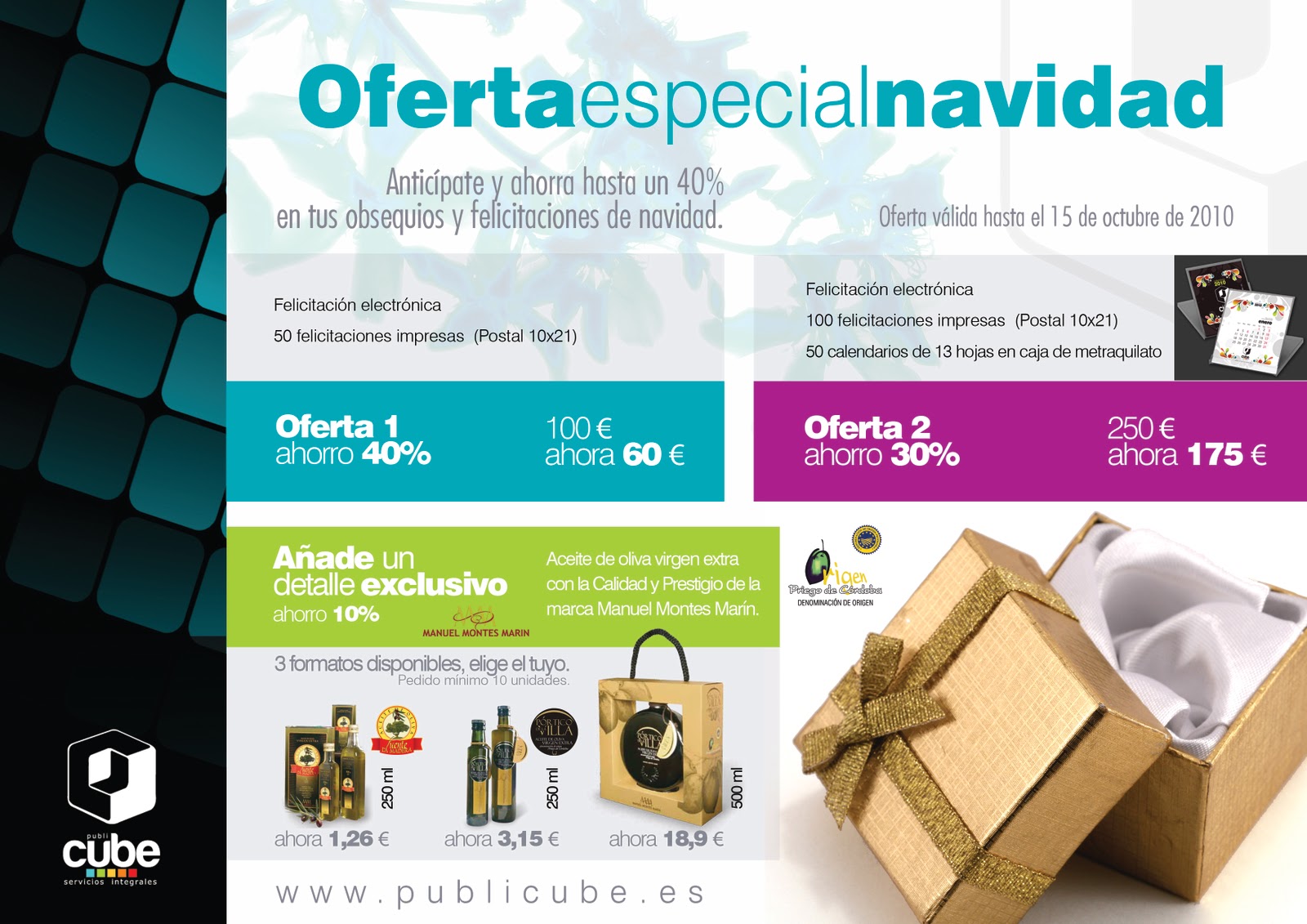 OFERTA ESPECIAL NAVIDAD | Diseño web | desarrollo de aplicaciones ...