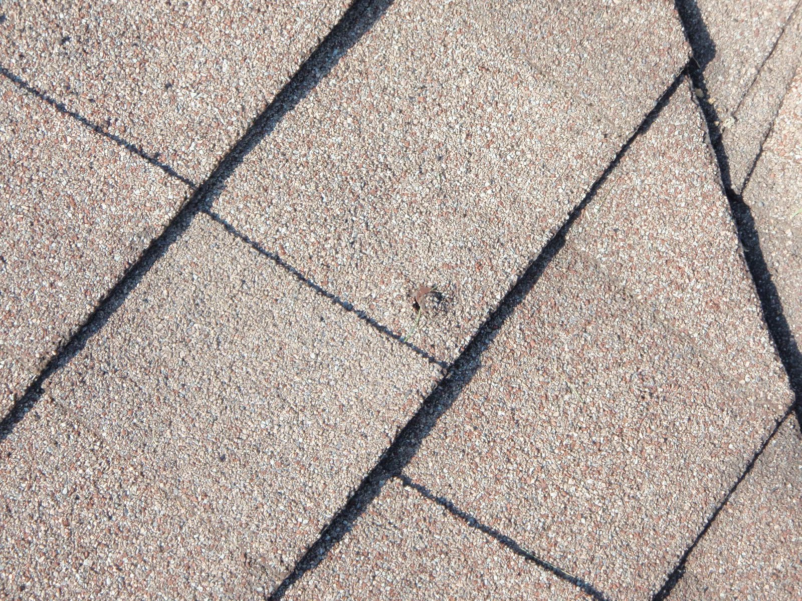 Asphalt Shingle Problems Why does my roof leak?
