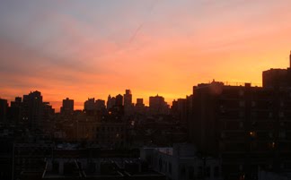 [IMG_0317.JPG]