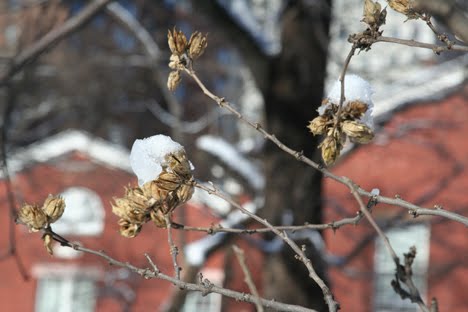 [IMG_1130.JPG]