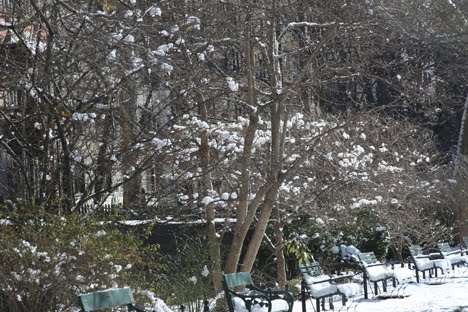 [IMG_1137.JPG]