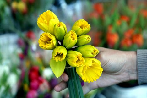 [IMG_3283.JPG]
