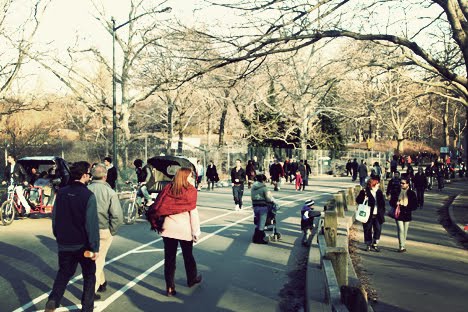 [IMG_3287.JPG]