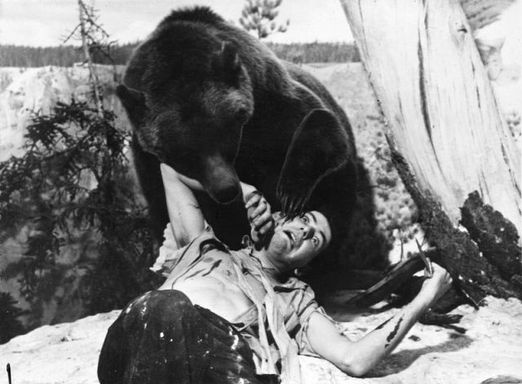 [grizzly.jpg]