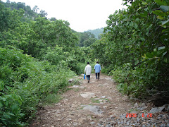 Orrisa's Forest Areas