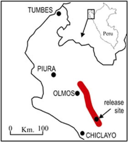 RUTA para ver la Pava Aliblanca