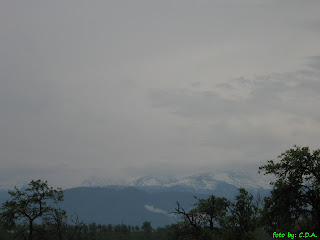 Retezat-Godeanu Mountains seen from Densus