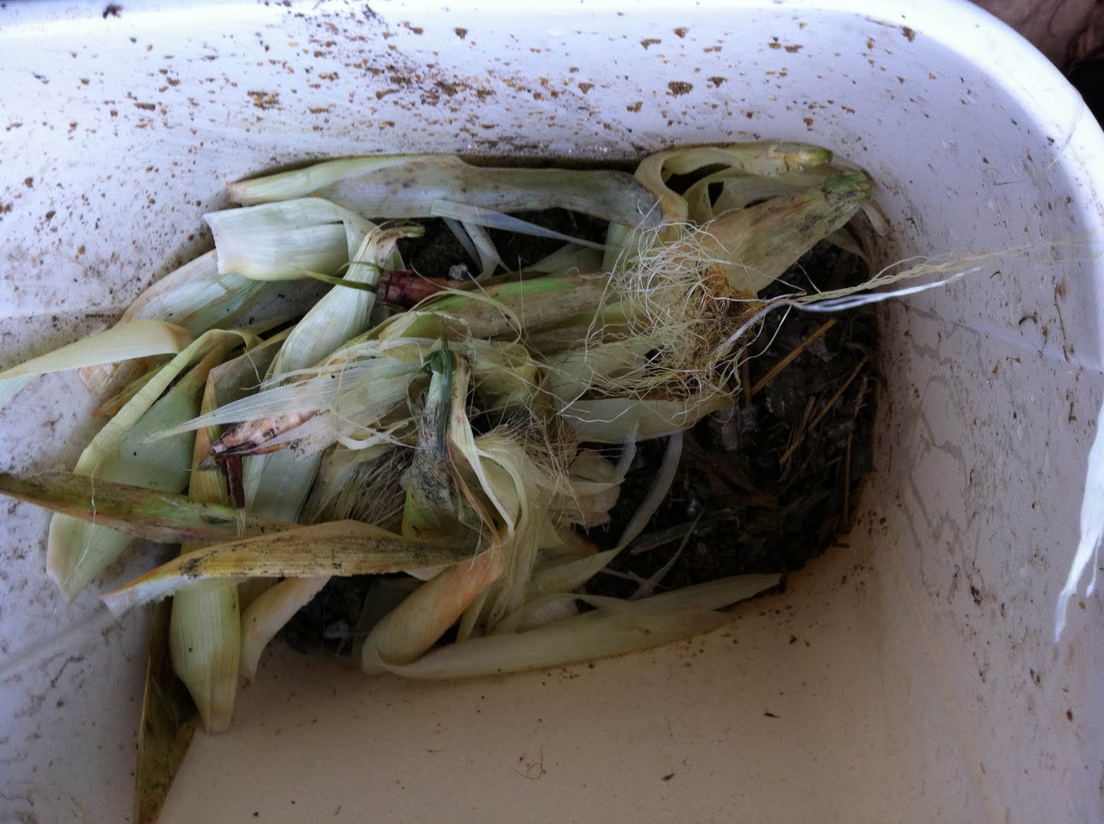 Coop's Coop Tales from a Suburban Chicken Wrangler Chicken Coop poop