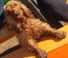 uma menina suja no parcão... acho que aproveitou muitoooooooooooo