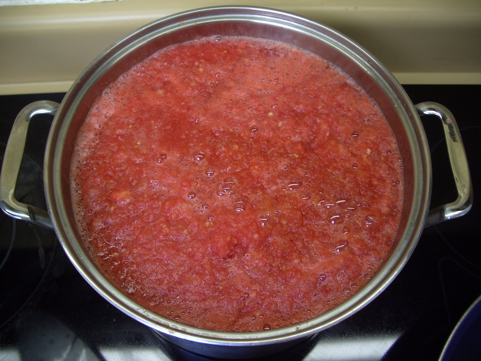 [Turkeys-tomatoes-salsa+101.JPG]