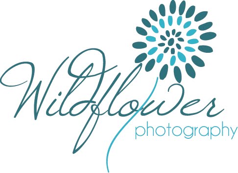 Wildflower Photography
