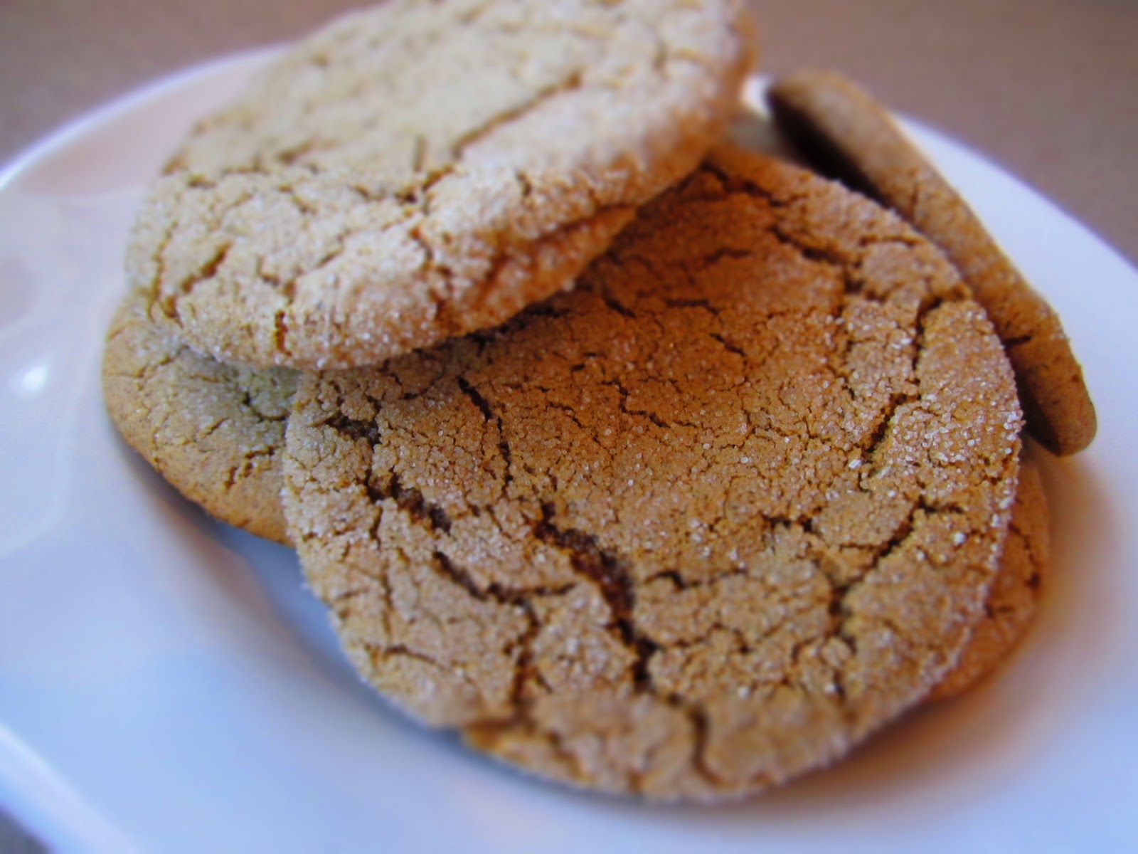 t o m a t o e s & t e q u i l a Ultimate Ginger Cookie