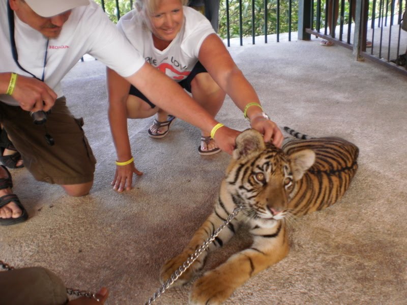Bringing Pets into Mexico