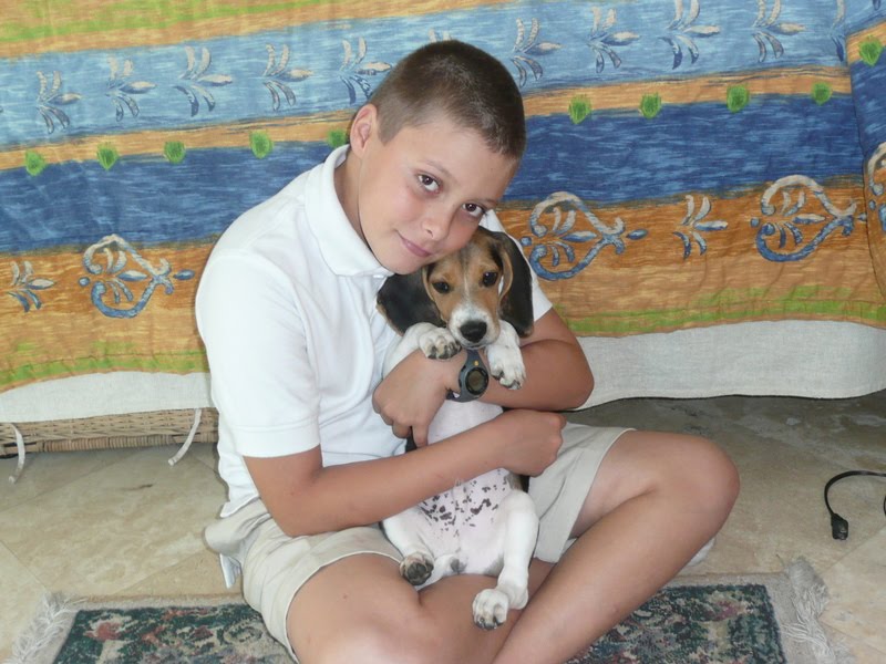 Bringing Pets into Mexico