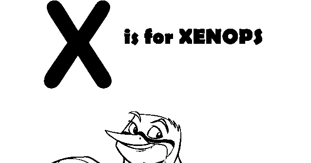 xenops coloring pages - photo #17