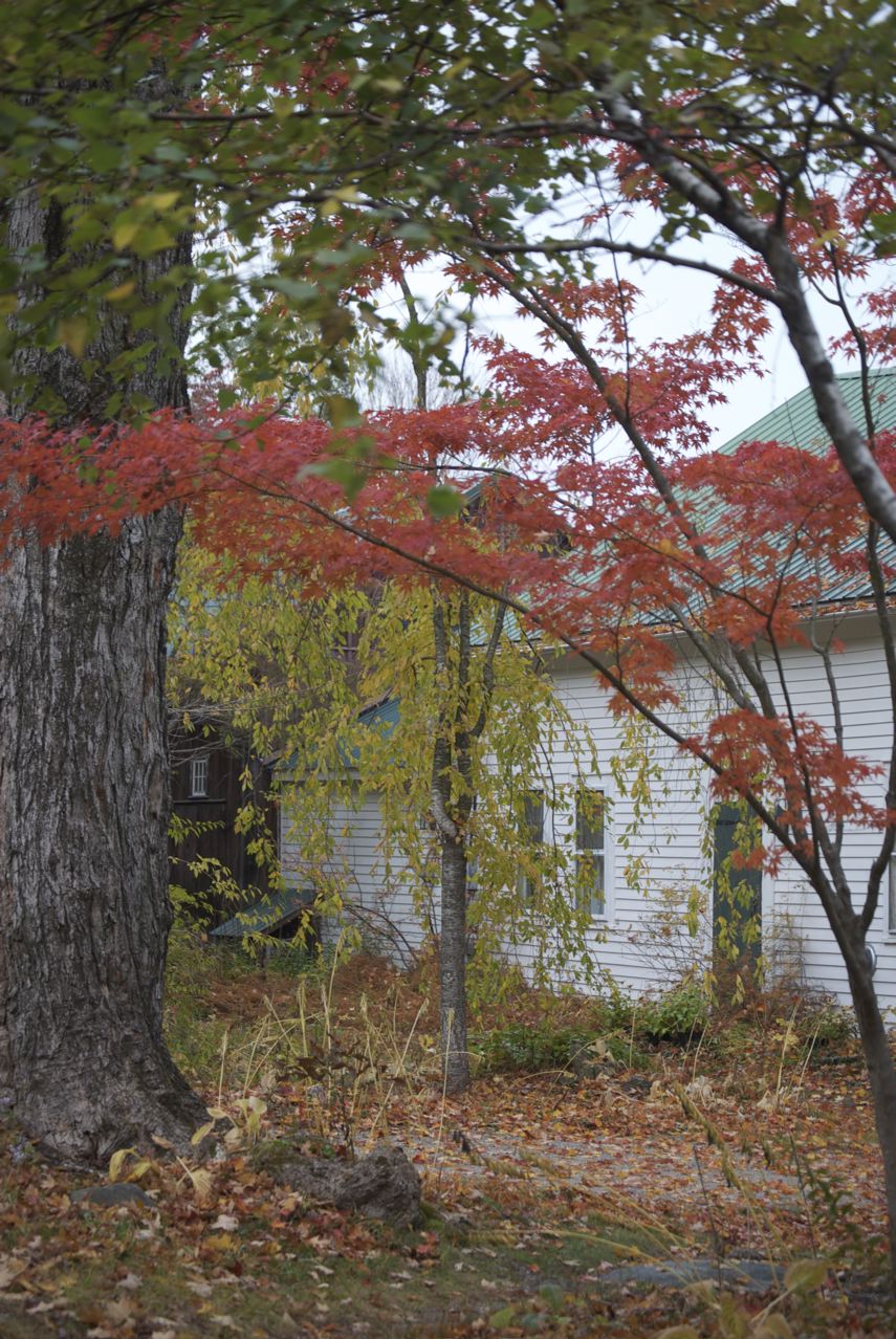 Flower Hill Farm Seasonal Musings Part Seven Farmhouse Front Garden West