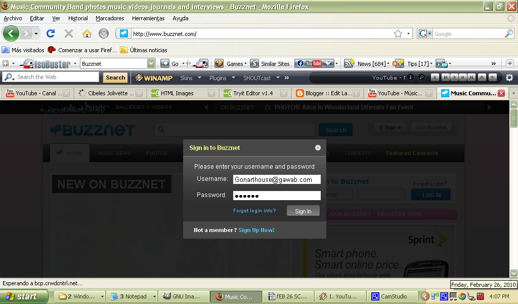 Cannot Get Into Buzznet Because I Supposedly Do Not Know The Password