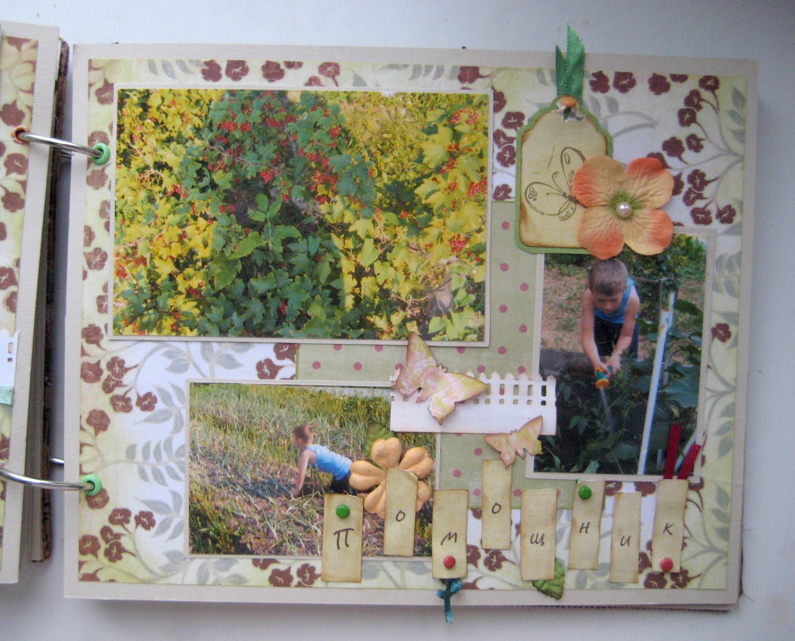 Фотографии летний альбом. Фотографии летний альбом. Альбом «летние зарисовки». Скрапбукинг лето. Летний альбом.