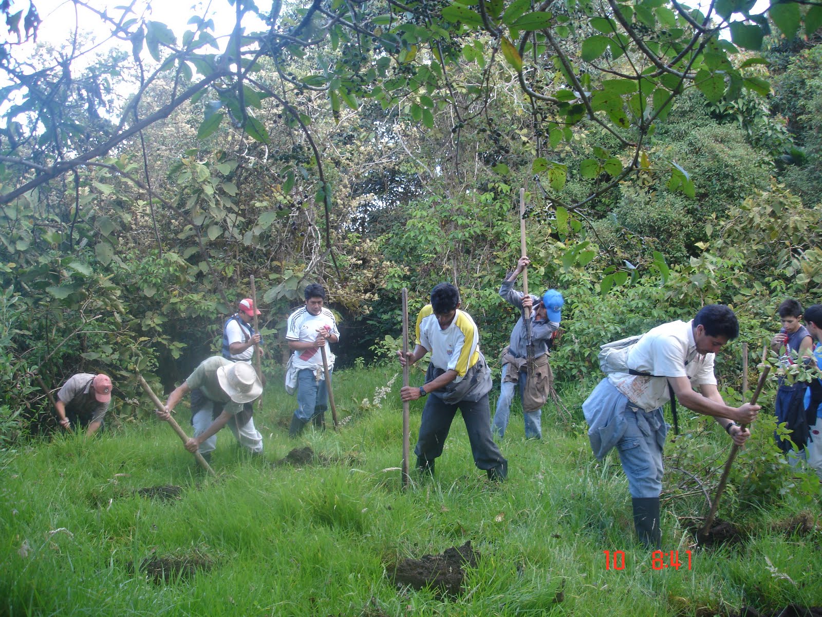 MUNICIPIO EL TABLON DE GOMEZ ESTRATEGIA UNIDOS MICROREGIÓN 065