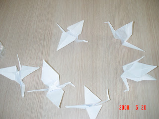 2008 / Bil202'de Olanlar Bitenler...: Yeniden çocuk olmak...