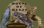 House of Herps