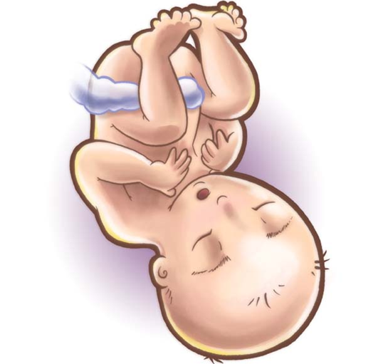 37 неделя коричневые. Роды на 37 неделе беременности это плохо. Болит таз при беременности 37 недель. Плод давит на мочевой 26 недель.