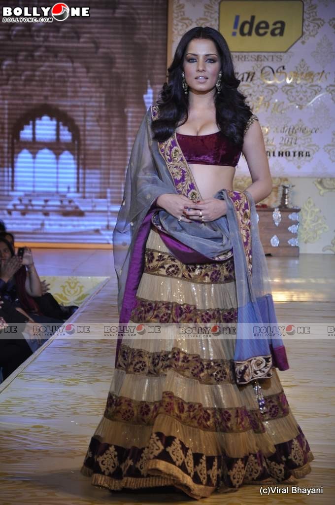 Hot Celina Jaitley at Mijwan Fashion show - SEXIEST FASHION SHOWS IN THE WORLD PICS - Famous Celebrity Picture 