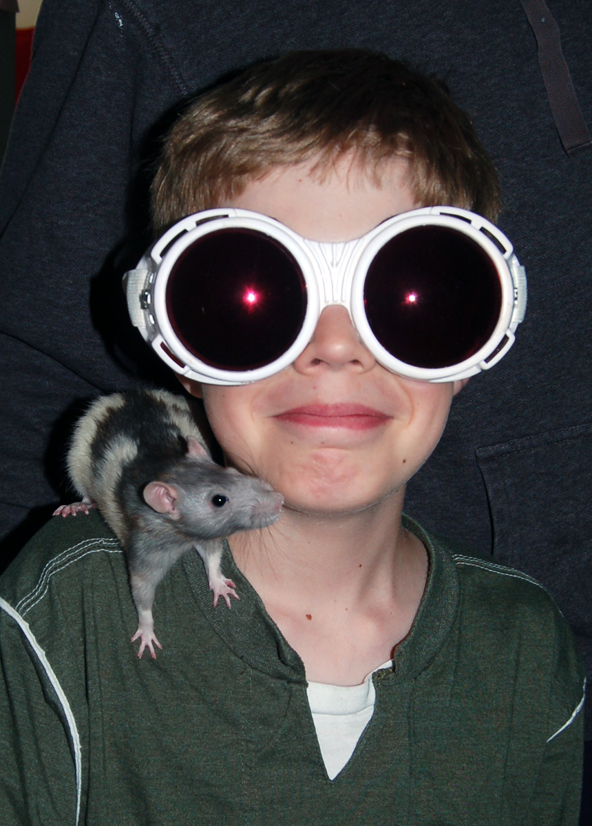 Jennifer's Photo Blog The rats have taken over